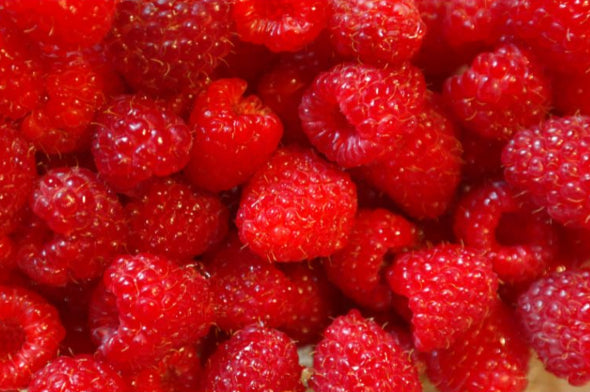 Raspberries