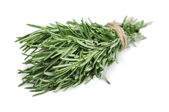 Rosemary